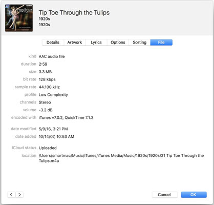 iTunes Music File Information