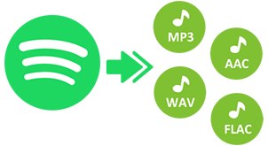 Spotify Music Converter