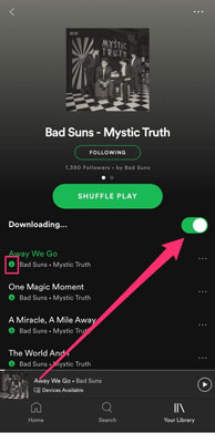 Download Spotify Songs on Mobile Phone